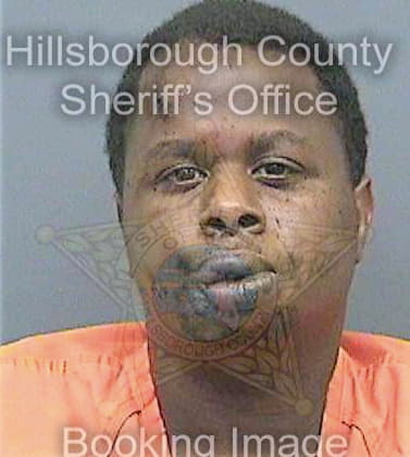Howard Edward - Hillsborough County, FL 