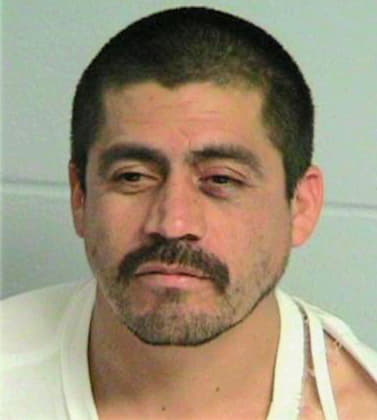 Chavez-Andrade Fernando - Rockdale County, GA 