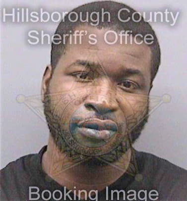 Johnson Michael - Hillsborough County, FL 