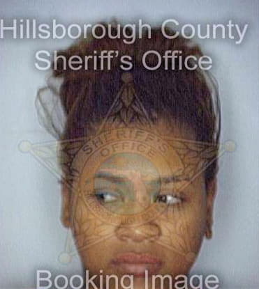 Culmer Vernessa - Hillsborough County, FL 