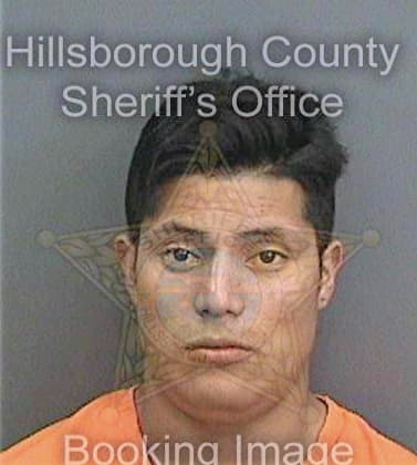 Perezramos William - Hillsborough County, FL 
