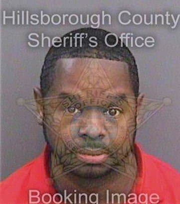 Mosley Damien - Hillsborough County, FL 