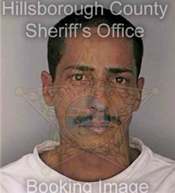 Fragoso Jesus - Hillsborough County, FL 
