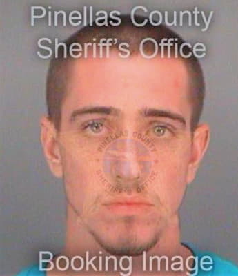 Watkins Kyle - Pinellas County, FL 