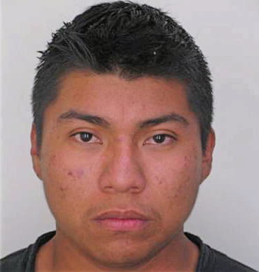 Moshanmartinez Manuel - Hillsborough County, FL 
