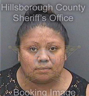 Orouji Maria - Hillsborough County, FL 