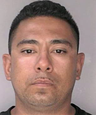 Rodela Michael - Hillsborough County, FL 