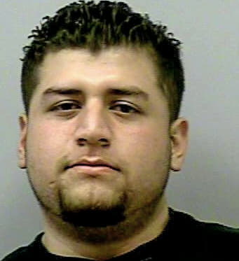 Villatoro Nelson - Gwinnett County, GA 