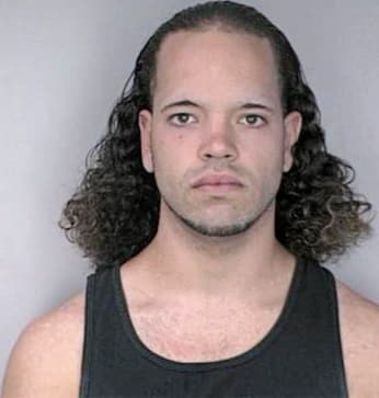 Rivera Luis - Hillsborough County, FL 