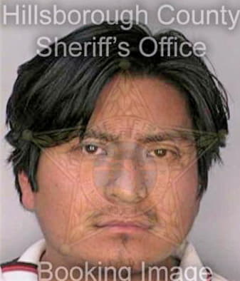 Hernandez Moises - Hillsborough County, FL 