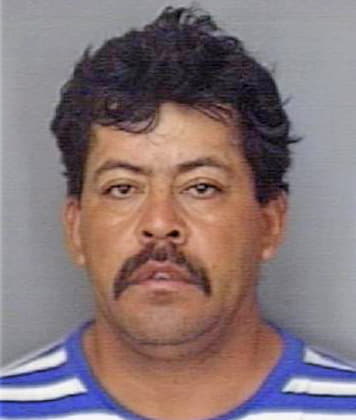 Revelo-Grimaldo Rogelio - Polk County, FL 