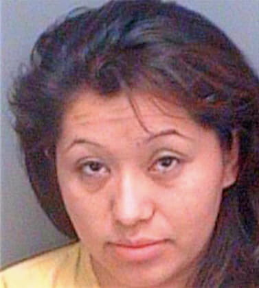 Baxcajayduran Silvia - Pinellas County, FL 