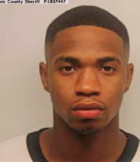 Holtzclaw Anthony - Chatham County, GA 