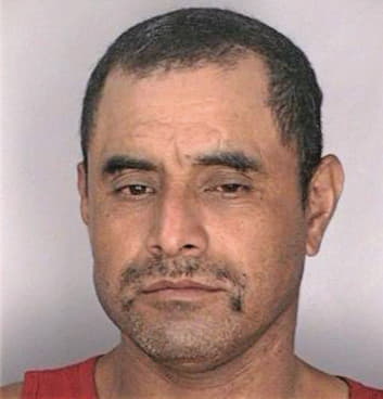 Rendon Estaban - Hillsborough County, FL 