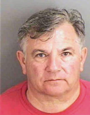 Palmisano Michael - Collier County, FL 