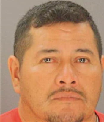 Hernandez Silvestre - Dallas County, TX 