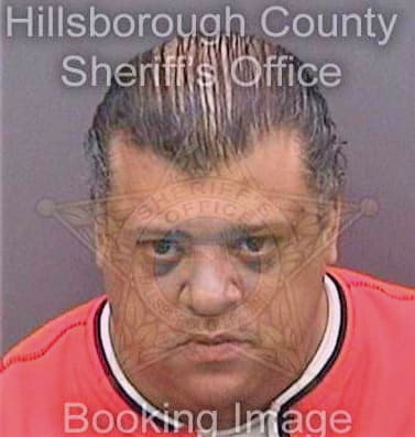Seabrook Tobias - Hillsborough County, FL 