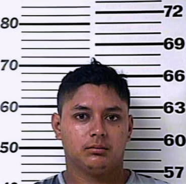 Pizano Victor - Henderson County, TX 