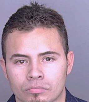 Rodriguez Henry - Dallas County, TX 