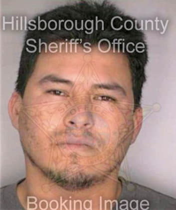 Morales Martin - Hillsborough County, FL 