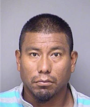 Rojas Teofilo - Denton County, TX 