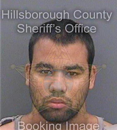 Hernandezrodriguez Yasniel - Hillsborough County, FL 