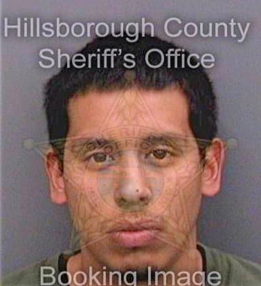 Eliascarbajal Erick - Hillsborough County, FL 