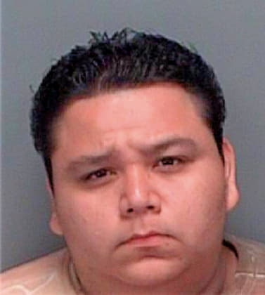 Rodriguez Victor - Pinellas County, FL 
