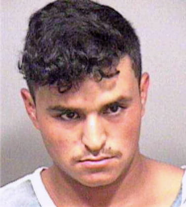 Hernandez-Dominguez Adrian - Marion County, FL 