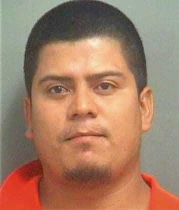 Ledezmatorres Jose - PalmBeach County, FL 