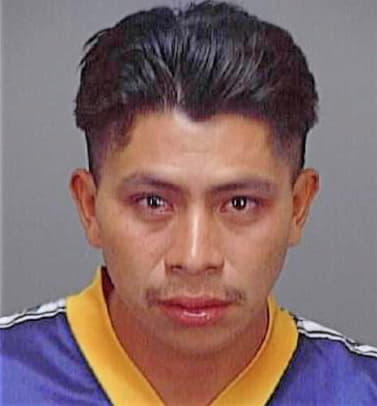 Martin Jose - Polk County, FL 