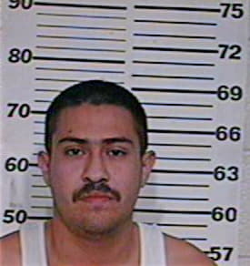 Rivera Luis - Hidalgo County, TX 