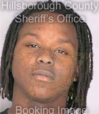Davis Maurice - Hillsborough County, FL 