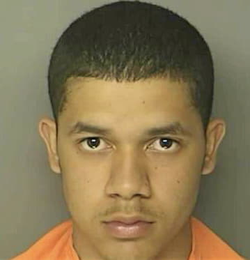 Anderson Vincent - Horry County, SC 