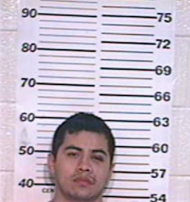 Delgado Carlos - Hidalgo County, TX 