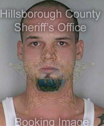 Atkins Daniel - Hillsborough County, FL 