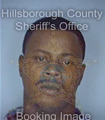 Davis Michael - Hillsborough County, FL 