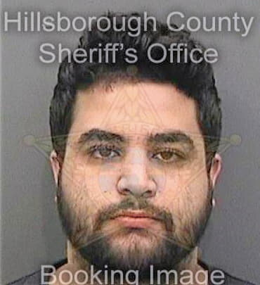 Mustafa Samer - Hillsborough County, FL 