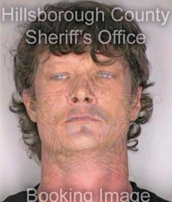 Geier William - Hillsborough County, FL 
