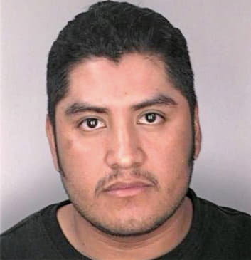 Caminoflores Federico - Hillsborough County, FL 