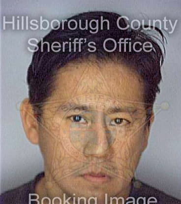 Solorzanoguzman Felix - Hillsborough County, FL 