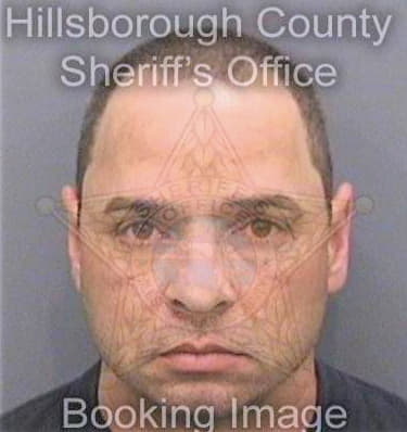 Ortiz Lawrence - Hillsborough County, FL 