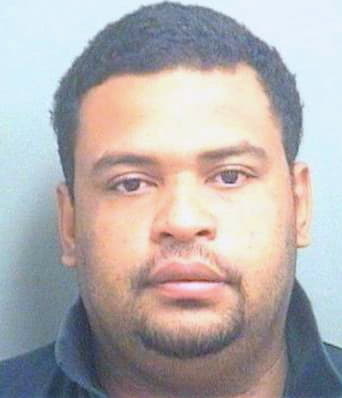 Araujo Luiz - PalmBeach County, FL 