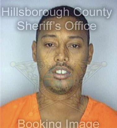 Adams Rico - Hillsborough County, FL 