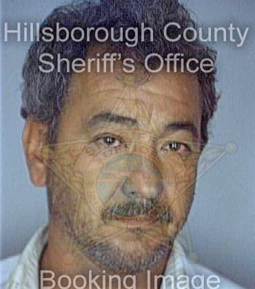 Perez Armando - Hillsborough County, FL 