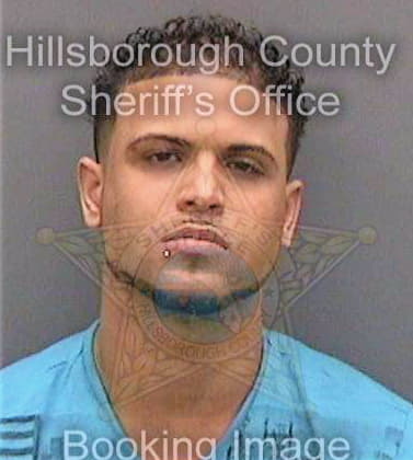 Latorrebeltran Jose - Hillsborough County, FL 