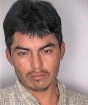 Zapoteco Jose - Hillsborough County, FL 