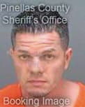 Richter William - Pinellas County, FL 