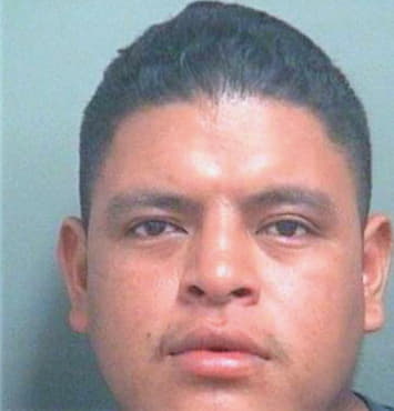 Hernandez Yovani - PalmBeach County, FL 