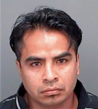 Montufar Luis - Pinellas County, FL 